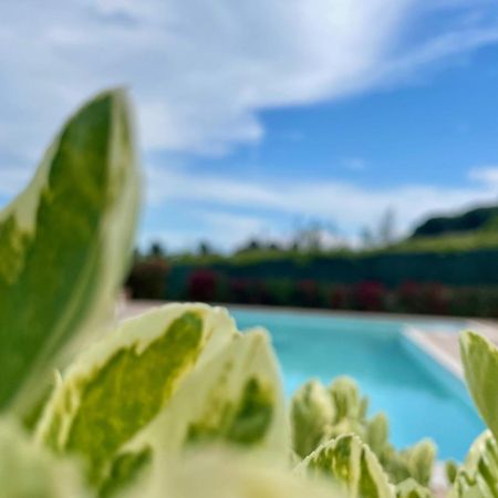 Vigneto - Italian Restaurant & B&B Villa Rosa Di Martinsicuro Ngoại thất bức ảnh