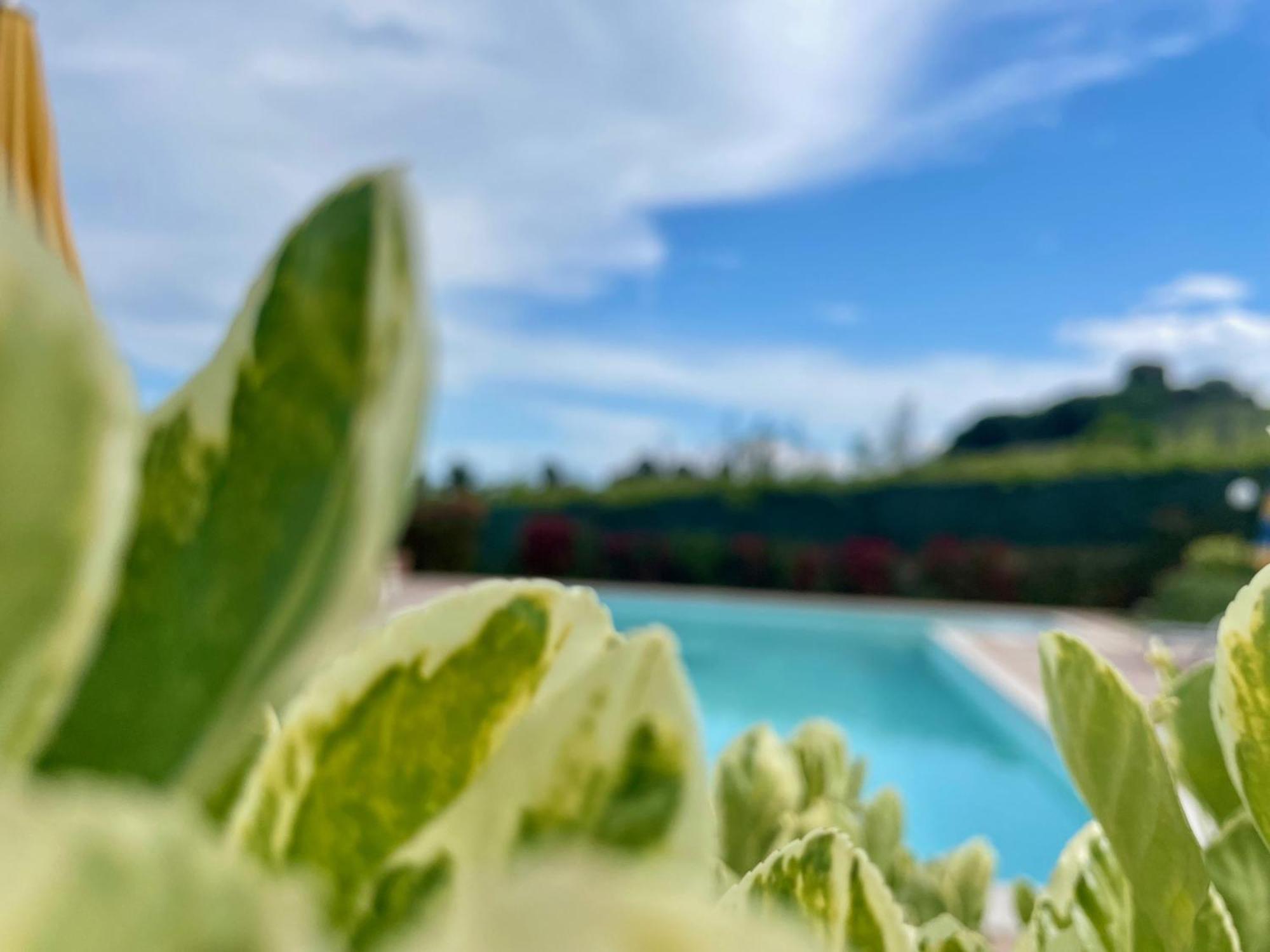 Vigneto - Italian Restaurant & B&B Villa Rosa Di Martinsicuro Ngoại thất bức ảnh