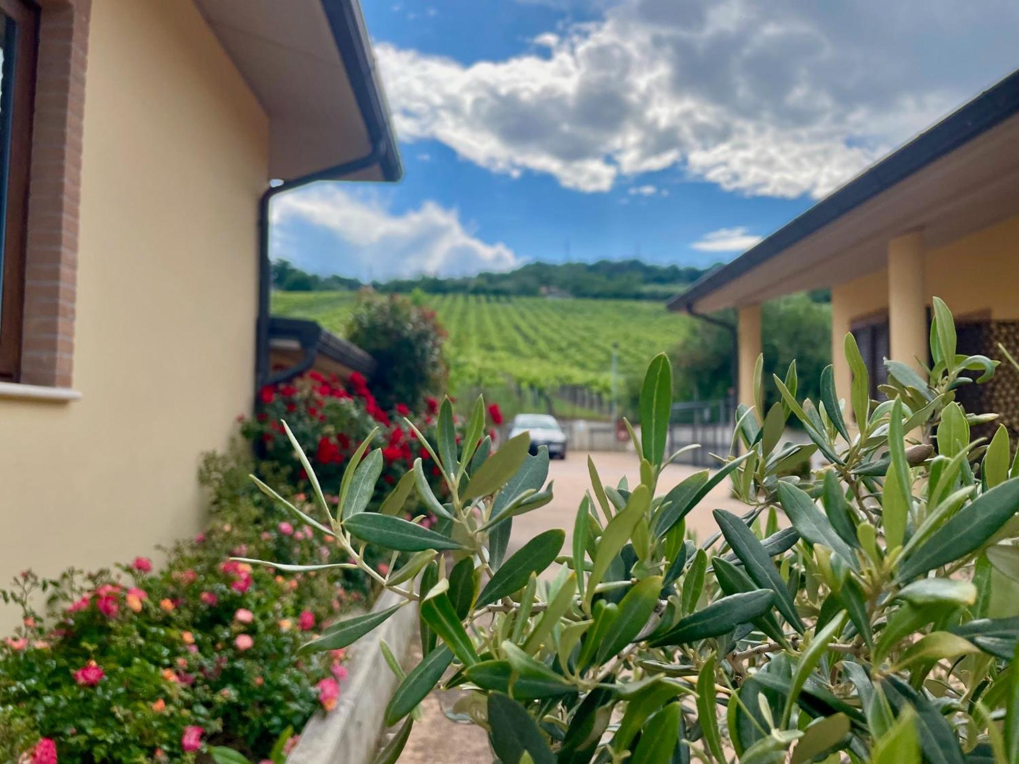 Vigneto - Italian Restaurant & B&B Villa Rosa Di Martinsicuro Ngoại thất bức ảnh