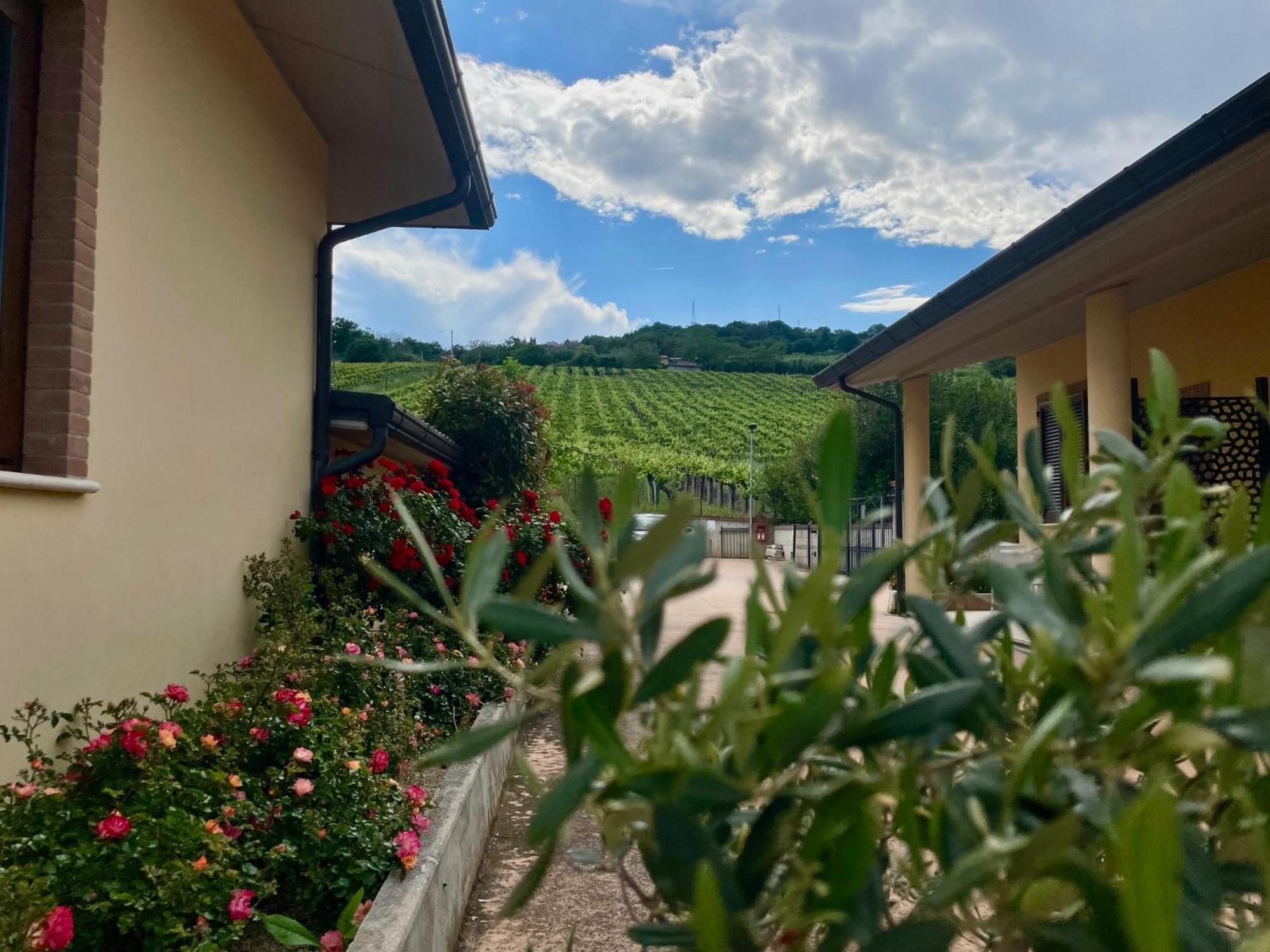 Vigneto - Italian Restaurant & B&B Villa Rosa Di Martinsicuro Ngoại thất bức ảnh